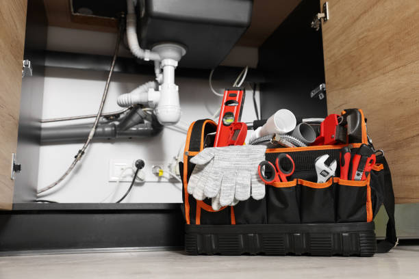 Best Affordable Plumbing Services  in Roosevelt, NJ
