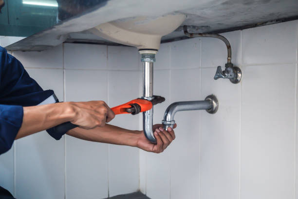 Best Plumbing Repair Near Me  in Roosevelt, NJ