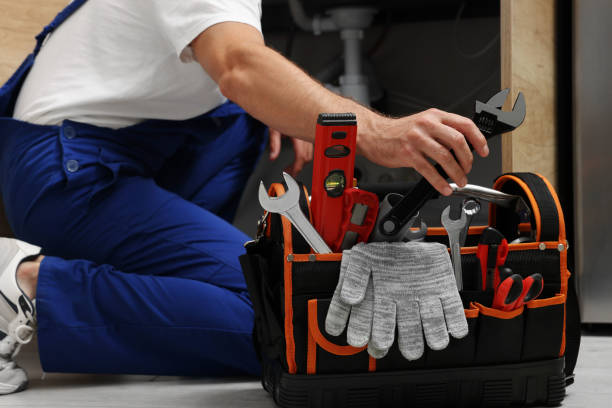 Best Plumbing Inspection Services  in Roosevelt, NJ